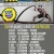 Miami Fitness Expo – Sat June 7, 2014 Miami Fitness Expo ProAm Games